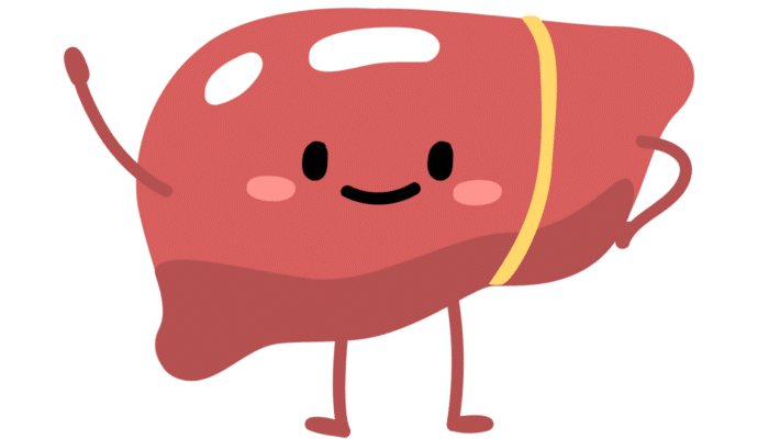 Epadx Avd Reform: Integrazione per il Fegato