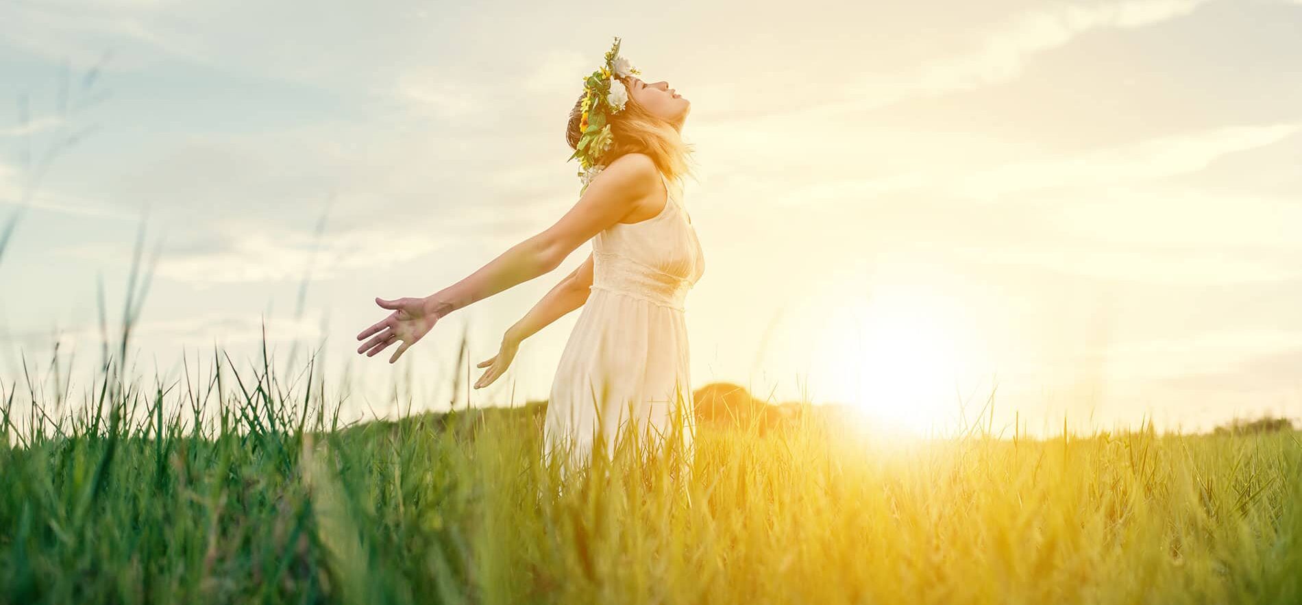 Cordyceps proprietà Cordyceps proprietà