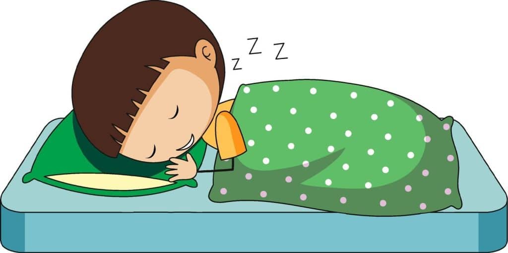 Fondamenti biologici del sonno Fondamenti biologici del sonno