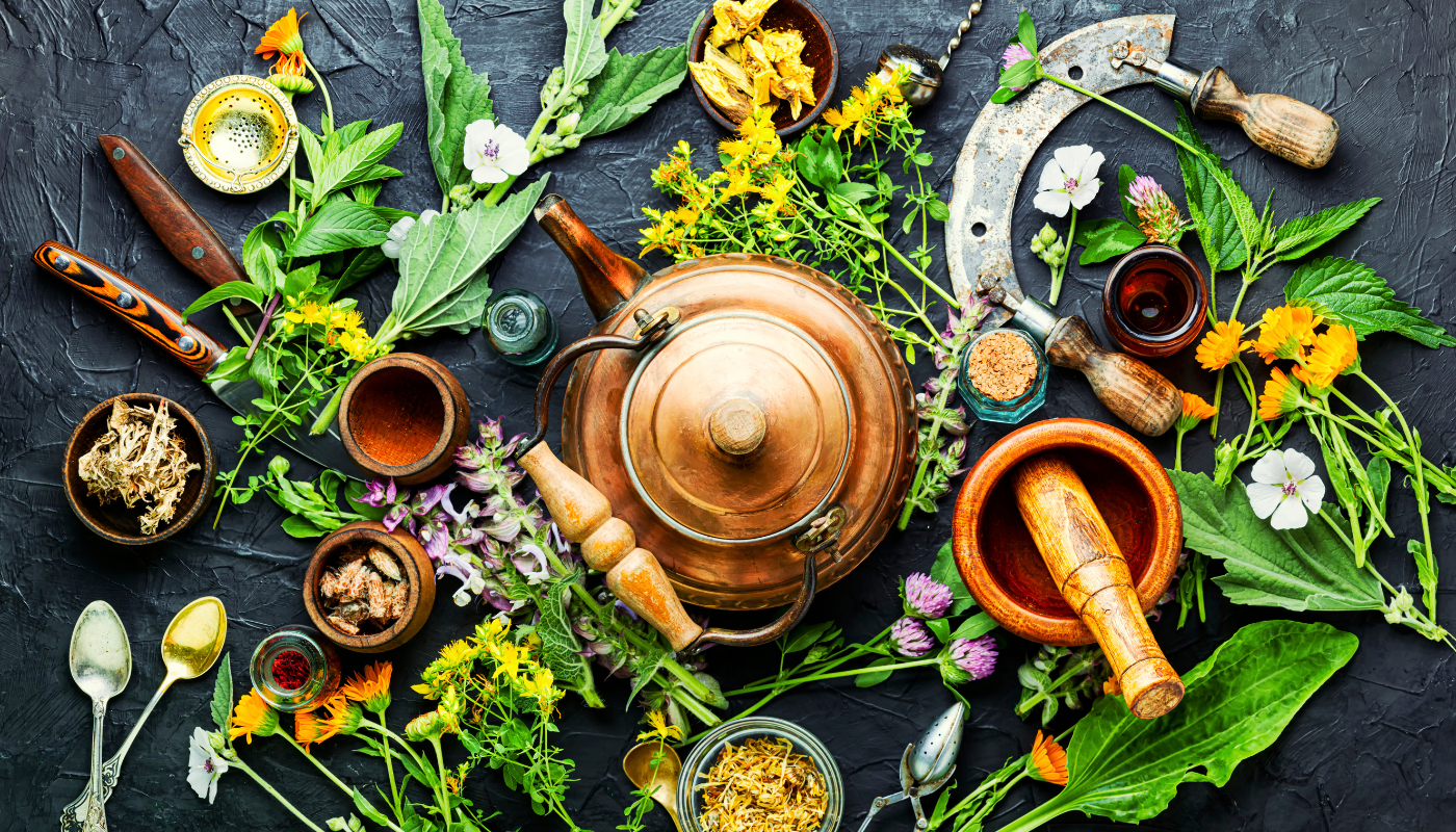 Erbe e piante alleate della depurazione